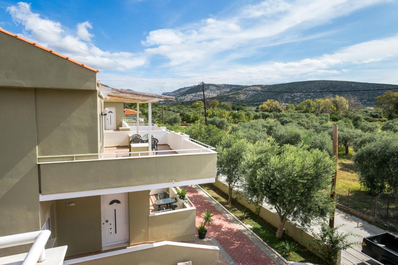 Kapahi Magic Apartment